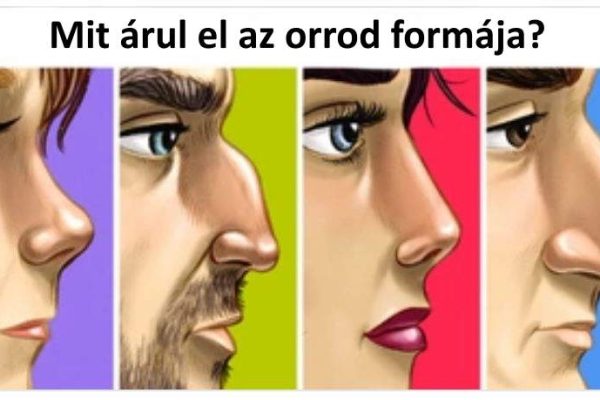 mit árul el az orrod formája