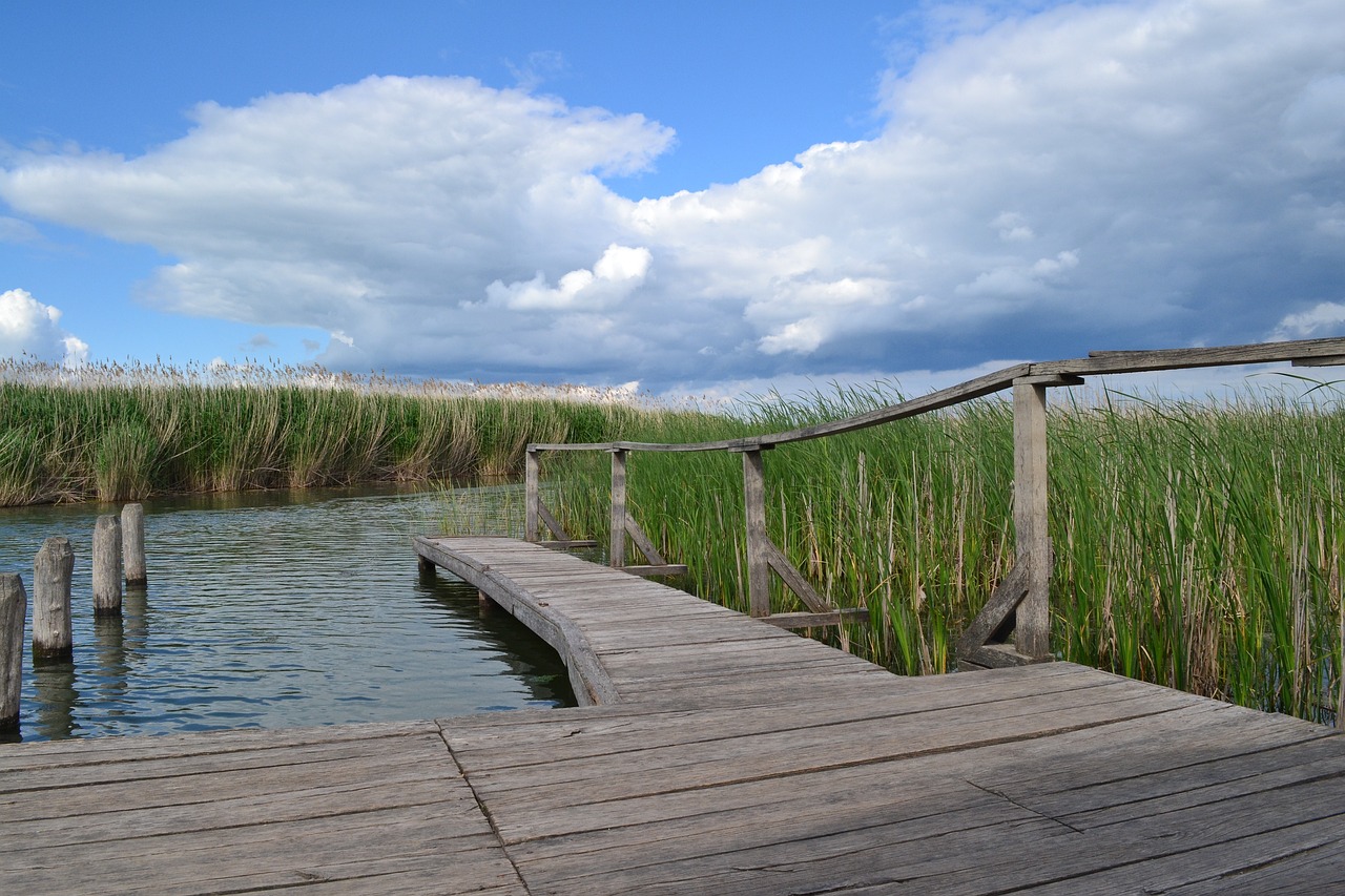 Tisza tó