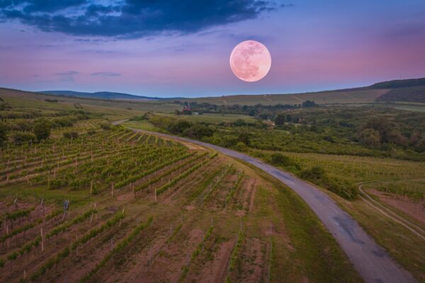 Tokaj és környéke