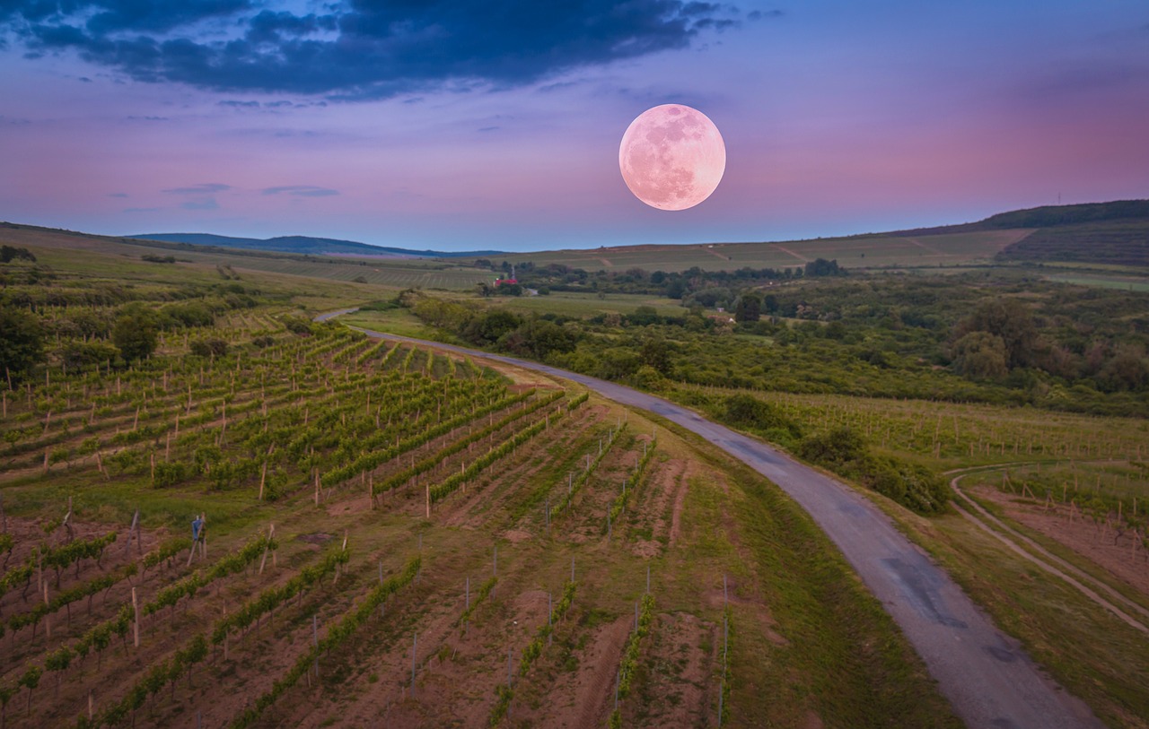 Tokaj és környéke